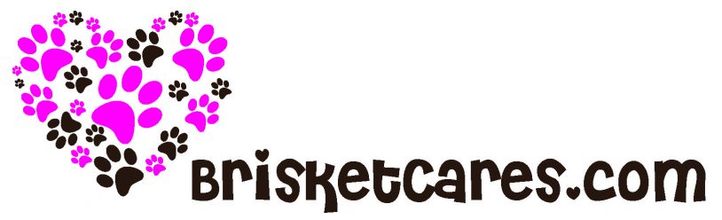 BrisketCares.com